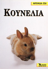 Κουνέλια