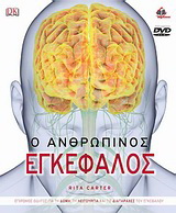 Ο ανθρώπινος εγκέφαλος