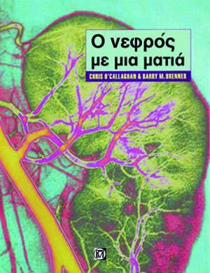 Ο νεφρός με μια ματιά