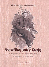 Ψηφίδες μιας ζωής
