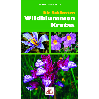 Die schönsten wildblumen Kretas