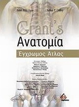 Grant’s ανατομία