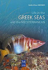 Life in the Greek Seas and the Mediterranean