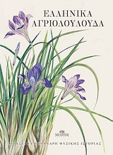Ελληνικά αγριολούλουδα