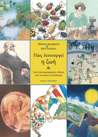 Πώς λειτουργεί η ζωή