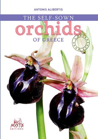 The self-sown Orchids of Greece