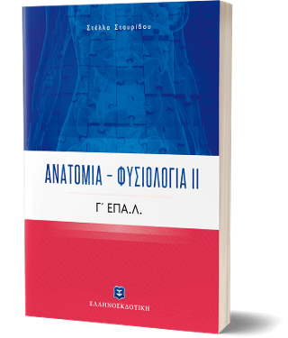 Ανατομία – Φυσιολογία ΙΙ