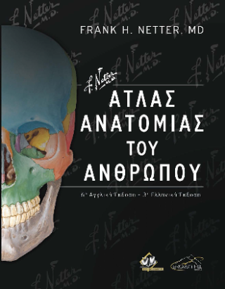 Netter Άτλας Ανατομίας του Ανθρώπου