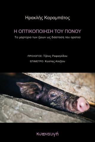 Οπτικοποίηση του πόνου