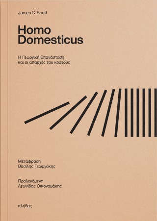 Homo domesticus