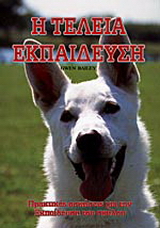 Η τέλεια εκπαίδευση