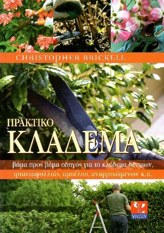 Πρακτικό κλάδεμα