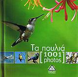 Τα πουλιά [1001 photos]