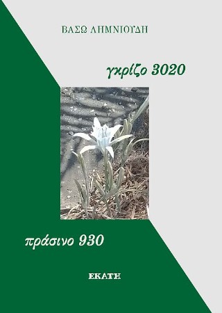 Γκρίζο 3020 – πράσινο 930